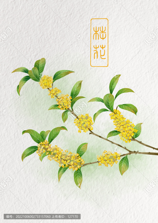 桂花