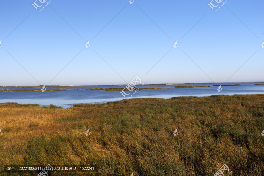 呼兰河口湿地