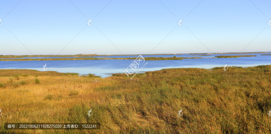 呼兰河口湿地