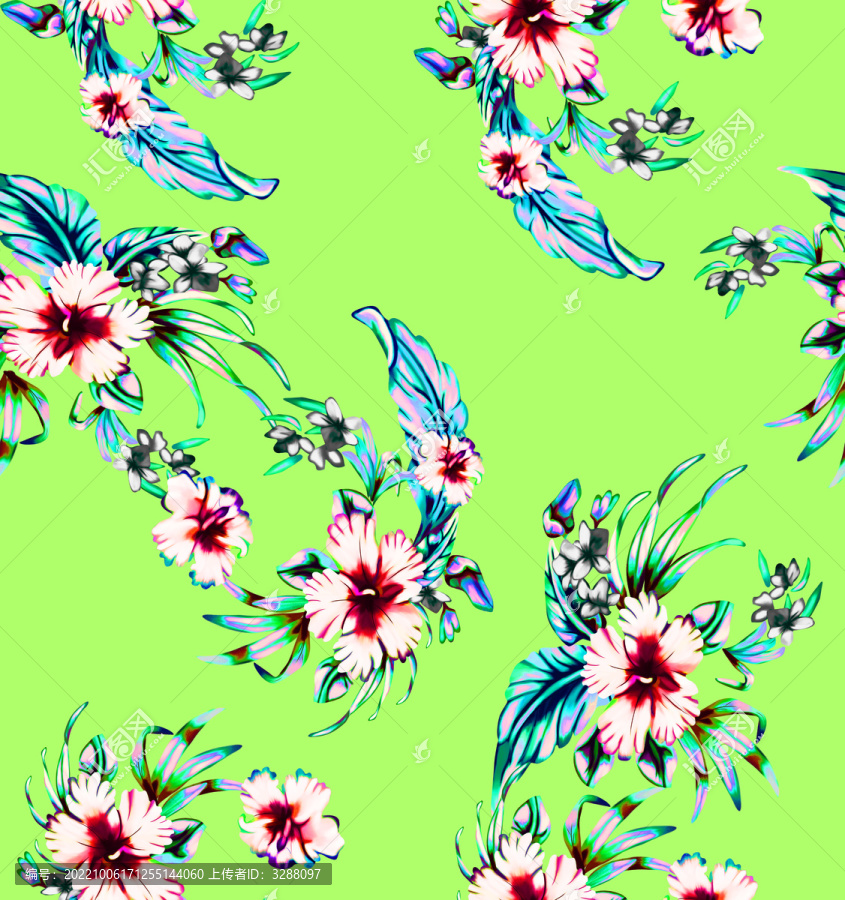 蝴蝶花