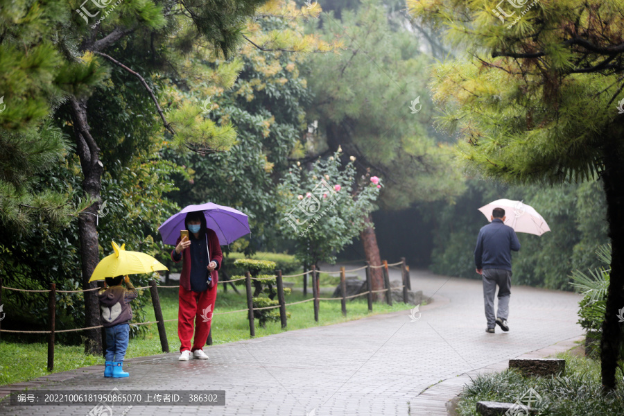 雨中打伞的母女