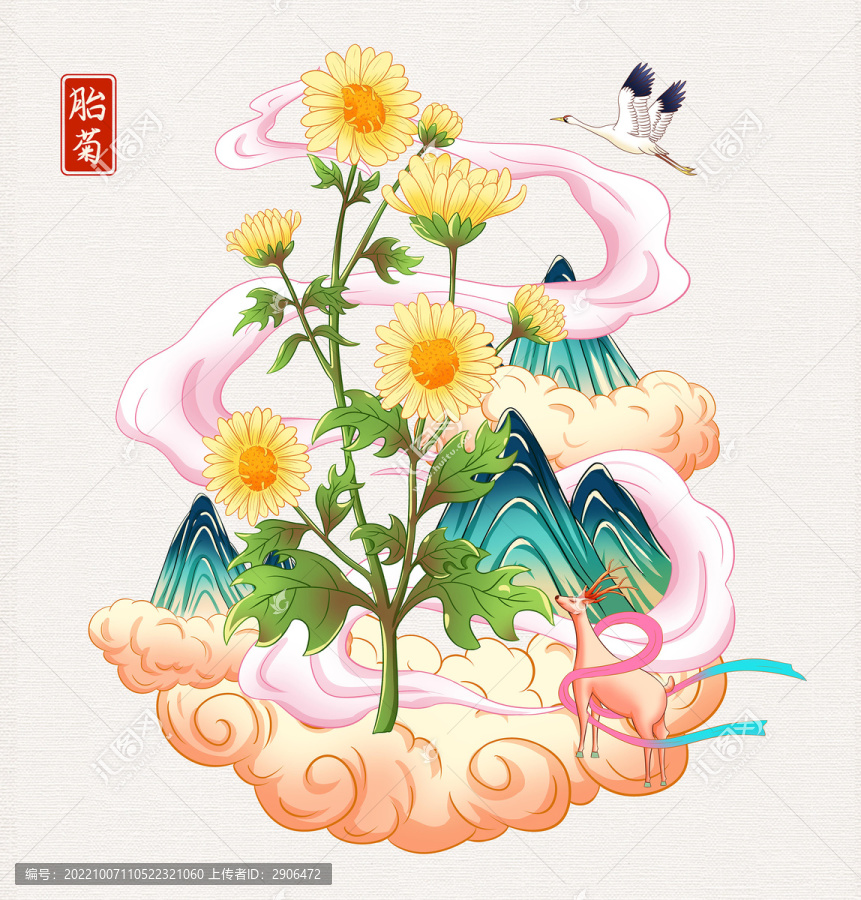 胎菊插畫手繪