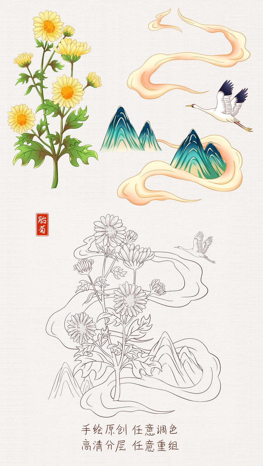 胎菊插畫手繪