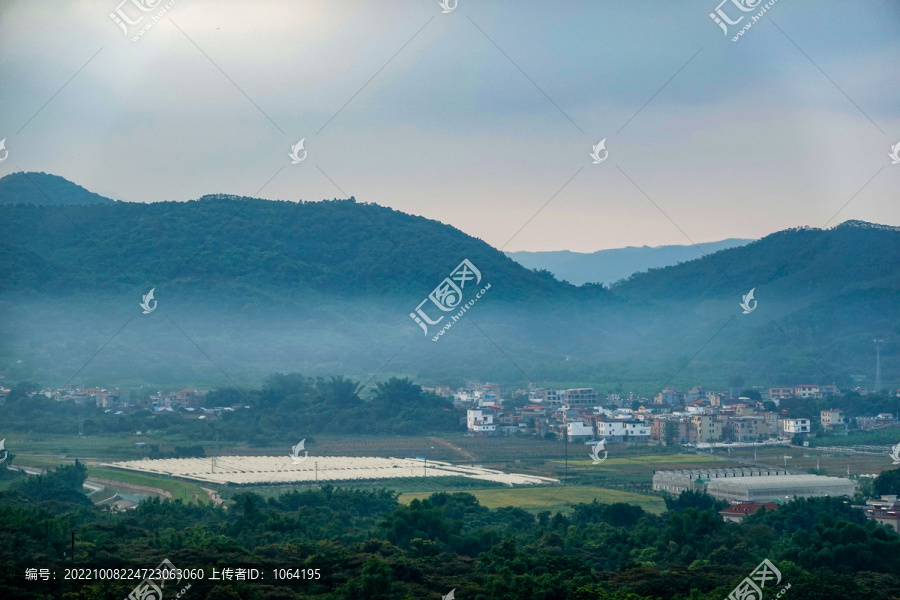 乡村早晨