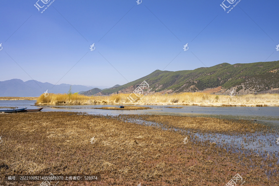 泸沽湖草海