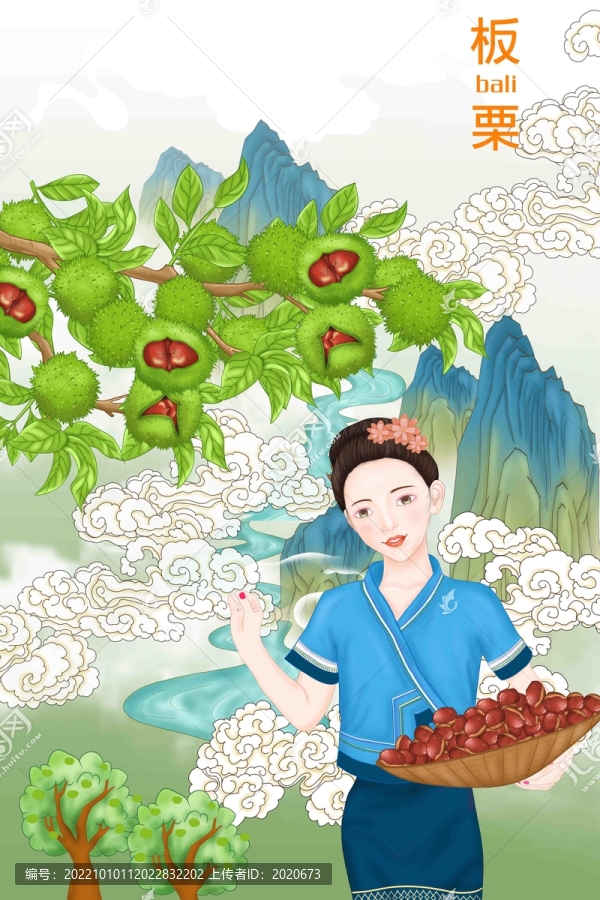 采摘板栗的小姑娘