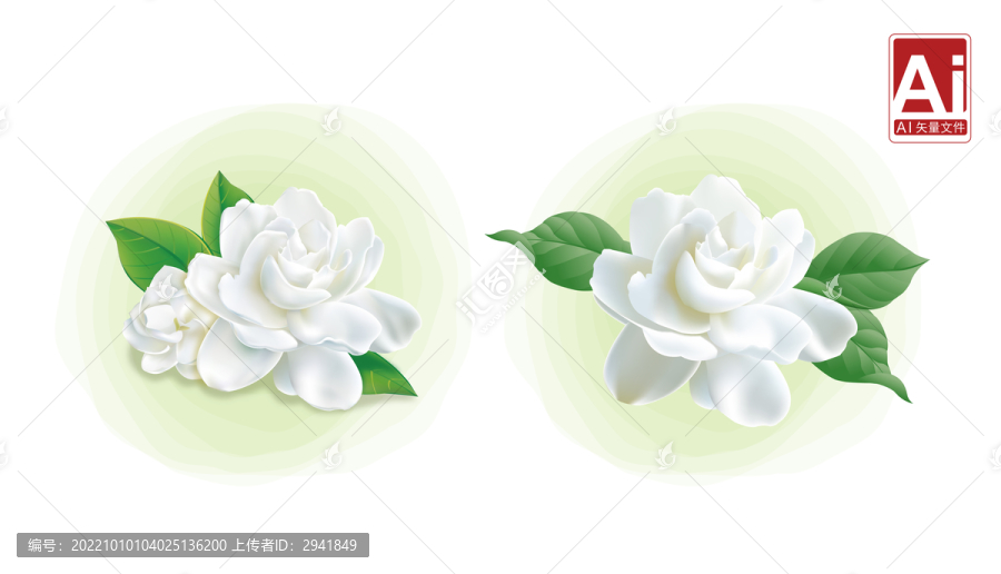 茉莉花