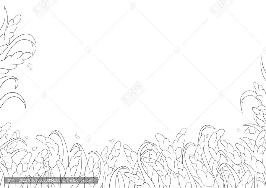 水稻