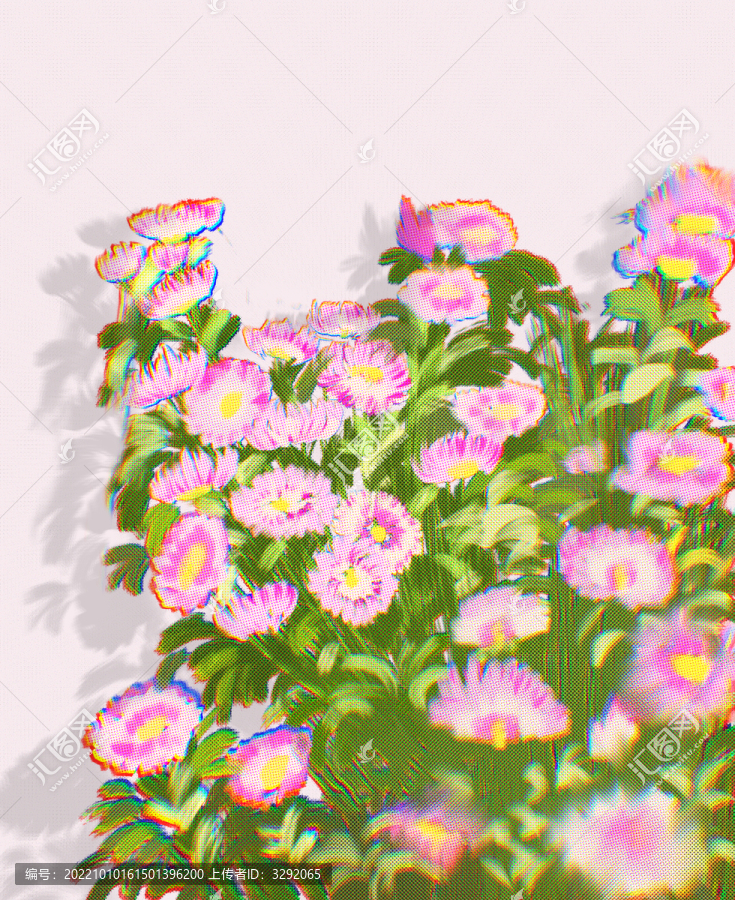粉色雛菊花叢