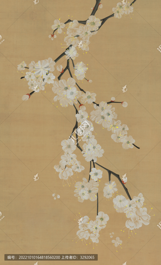 長(zhǎng)梅花