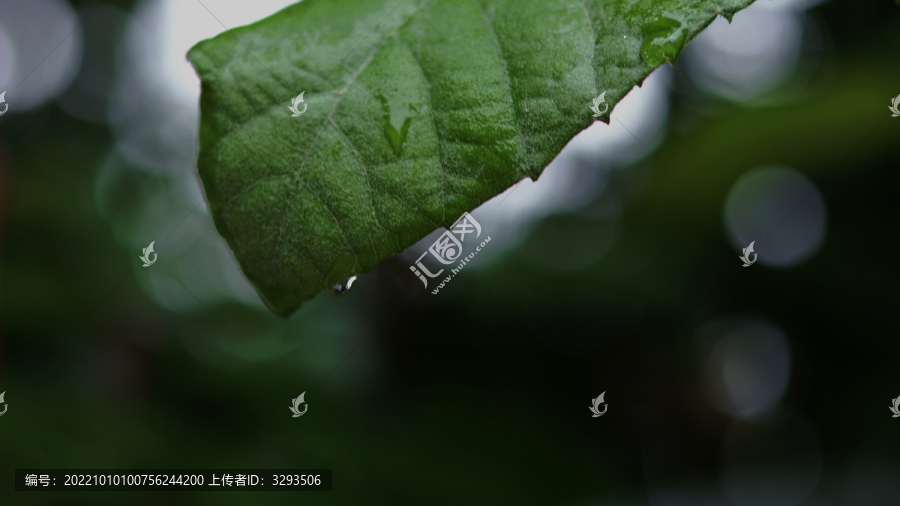 雨后