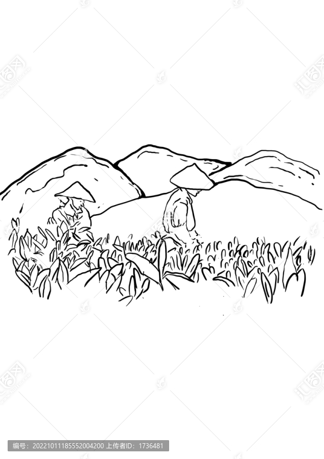 手繪山山茶