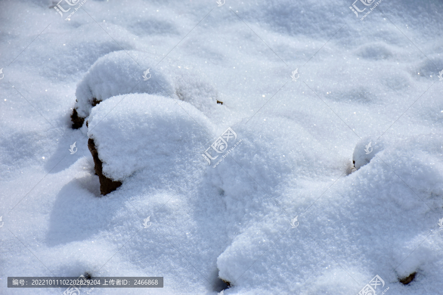 白雪