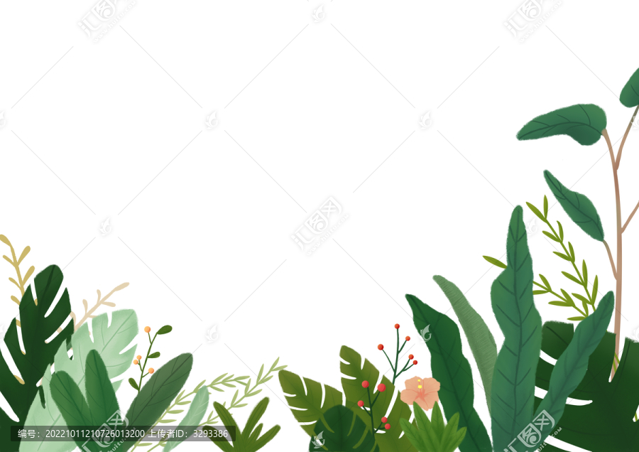 植物