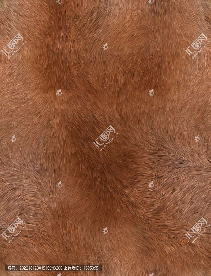 高清動物毛發(fā)貼圖