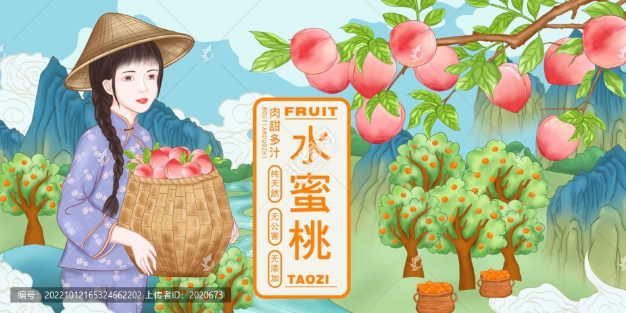 桃子插畫
