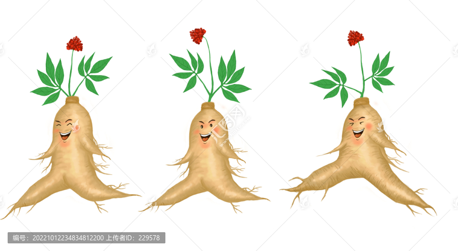 人參娃娃插畫