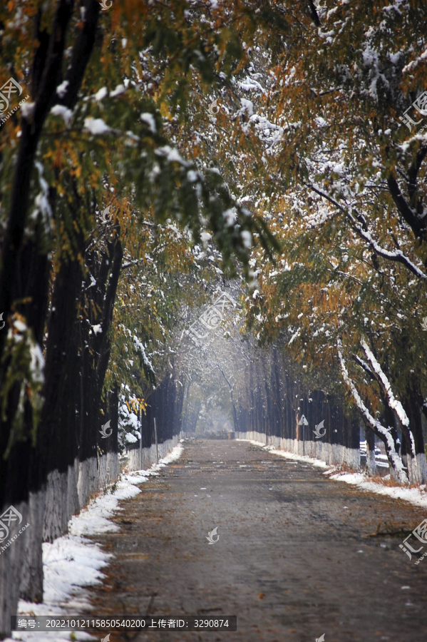 北京林间冬天雪后漂亮的雪景