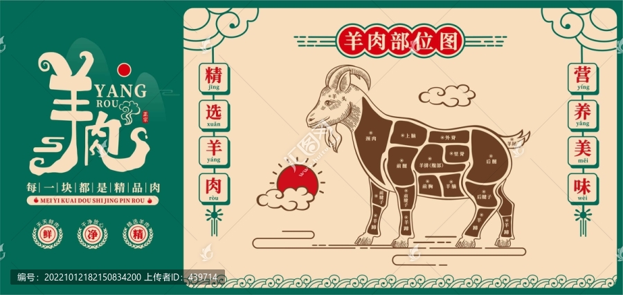 羊肉分解圖
