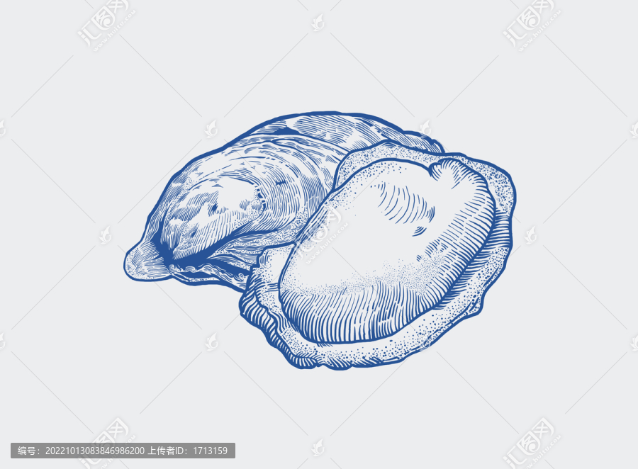 生蠔插畫