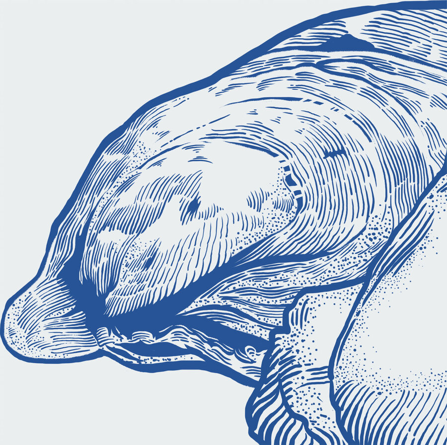 生蠔插畫