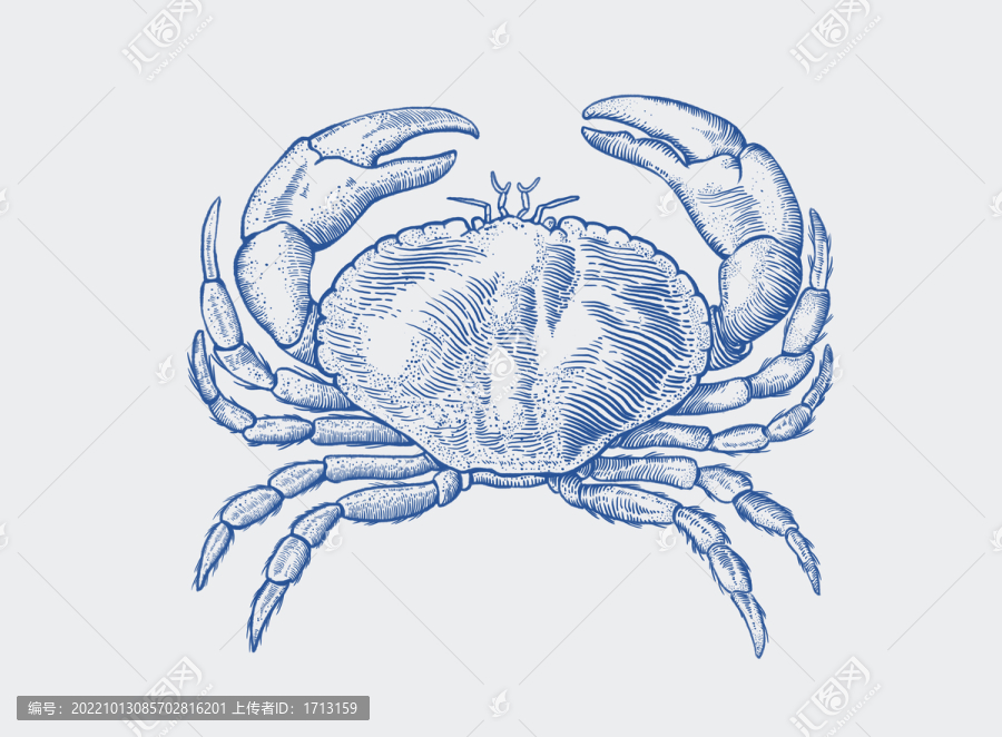 螃蟹插畫