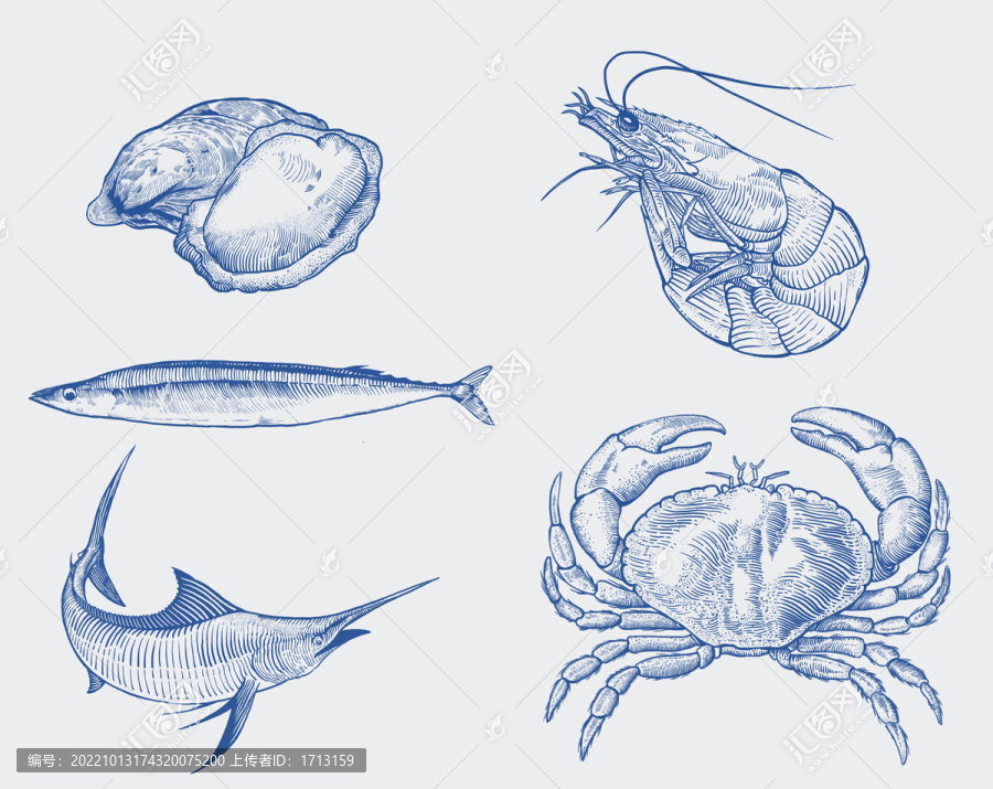 海鮮插畫