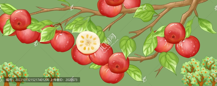 紅富士蘋果插畫