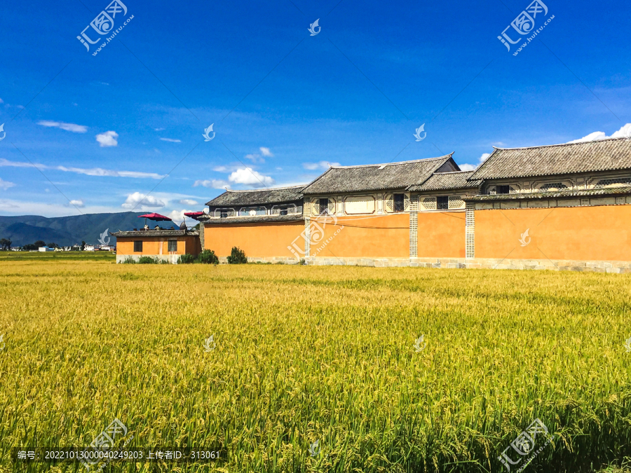 大理稻田-匯圖網(wǎng) fosd68.com 大理稻田