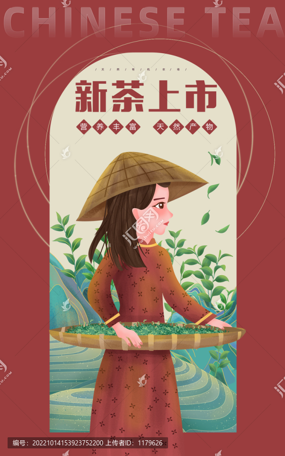新茶大紅袍農(nóng)家女孩插畫