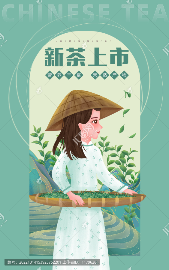 新茶上市農家女孩插畫