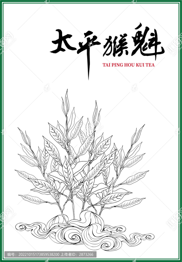 太平猴魁包裝插畫