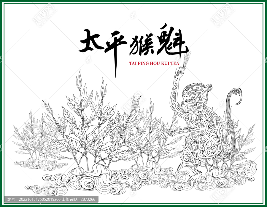 太平猴魁包裝插畫