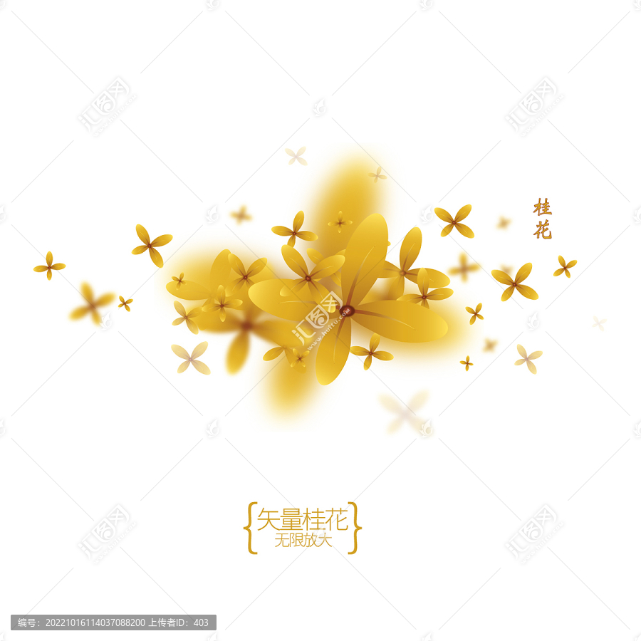 桂花