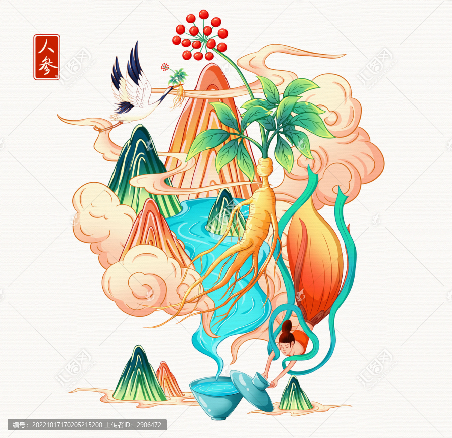 人參插畫手繪