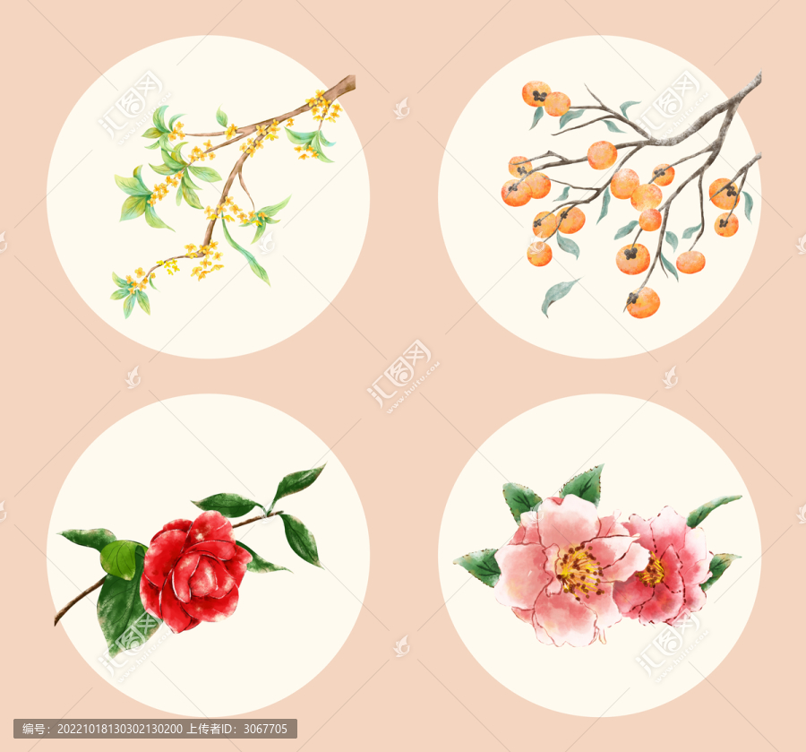 桂花柿子山茶