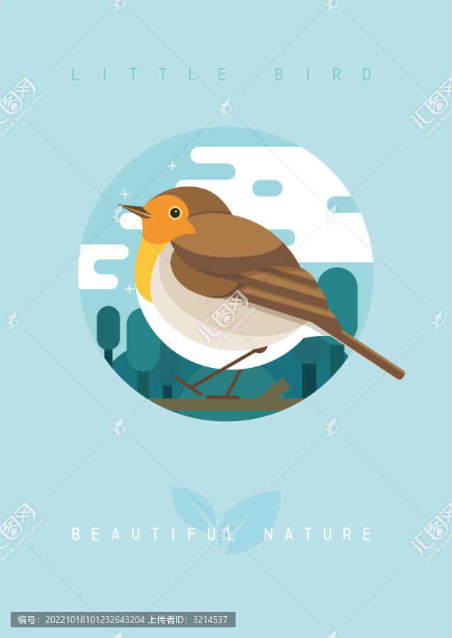 矢量鳥類插畫羅賓鳥知更鳥