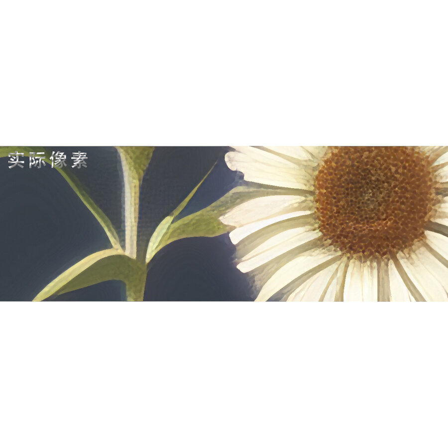 花卉裝飾畫