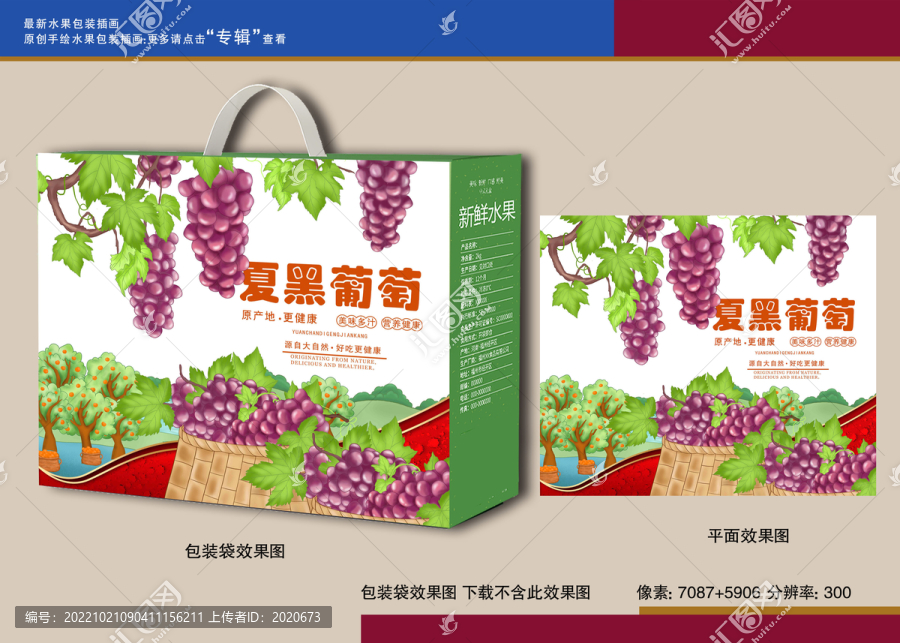 夏黑葡萄插畫(huà)禮盒