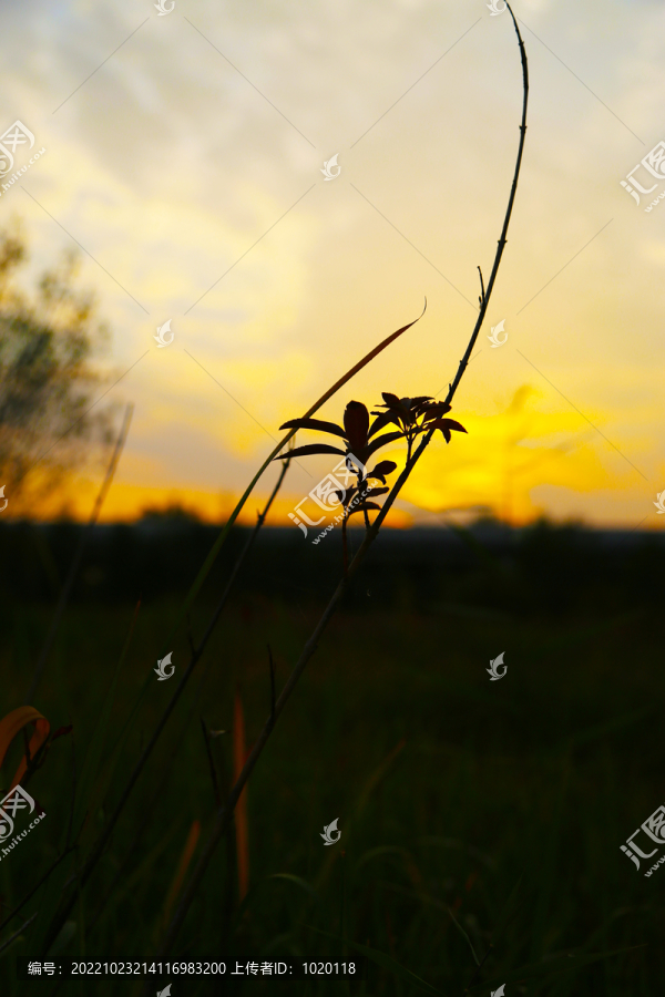 彩色的天空