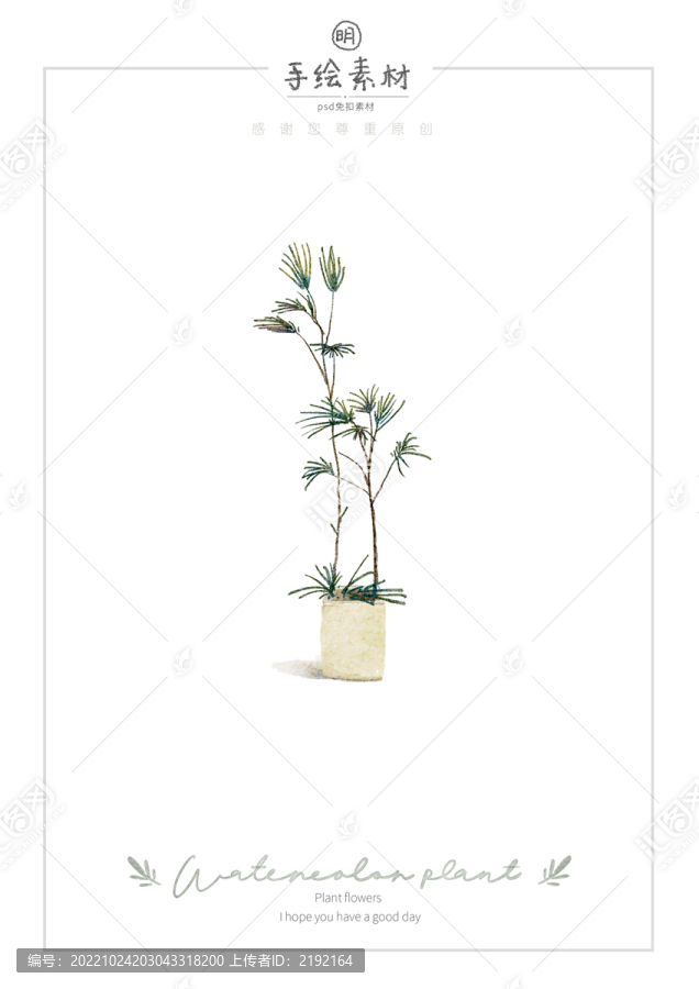 小清新手繪水彩棕竹盆栽