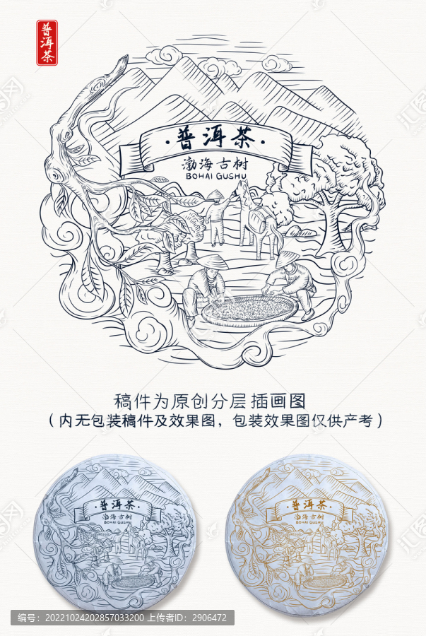 普洱茶插畫手繪