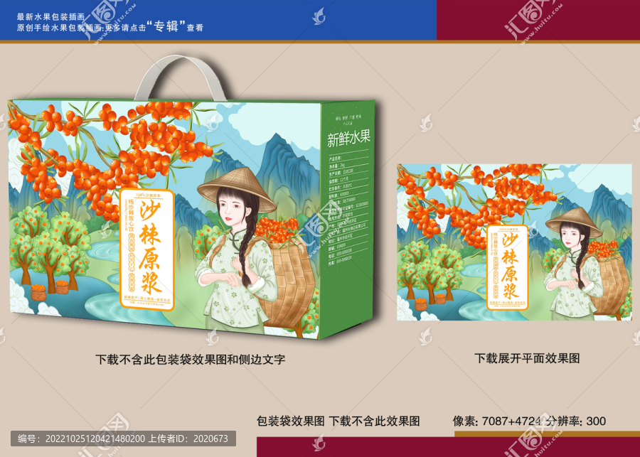 沙棘包裝插畫