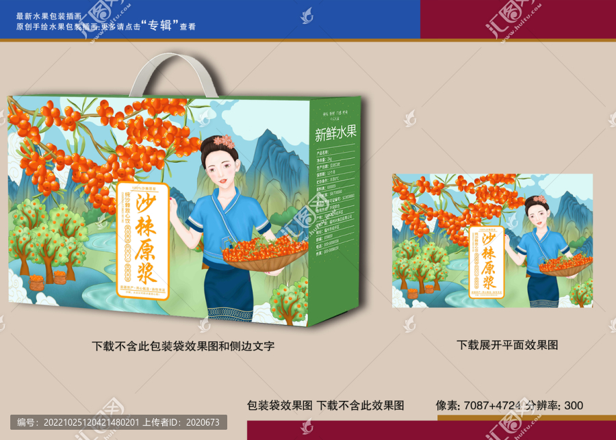 農(nóng)家女孩摘沙棘