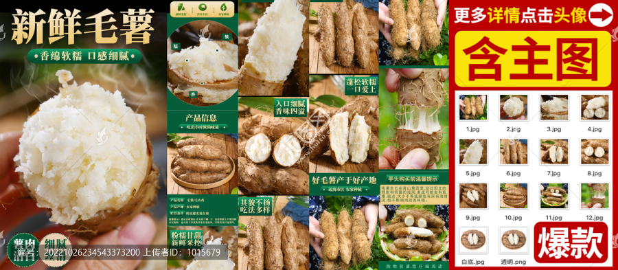 毛薯詳情