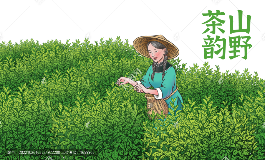 茶葉包裝彩色