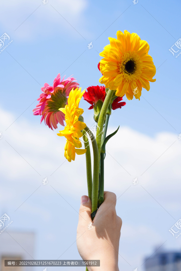 女性手拿鲜花送花