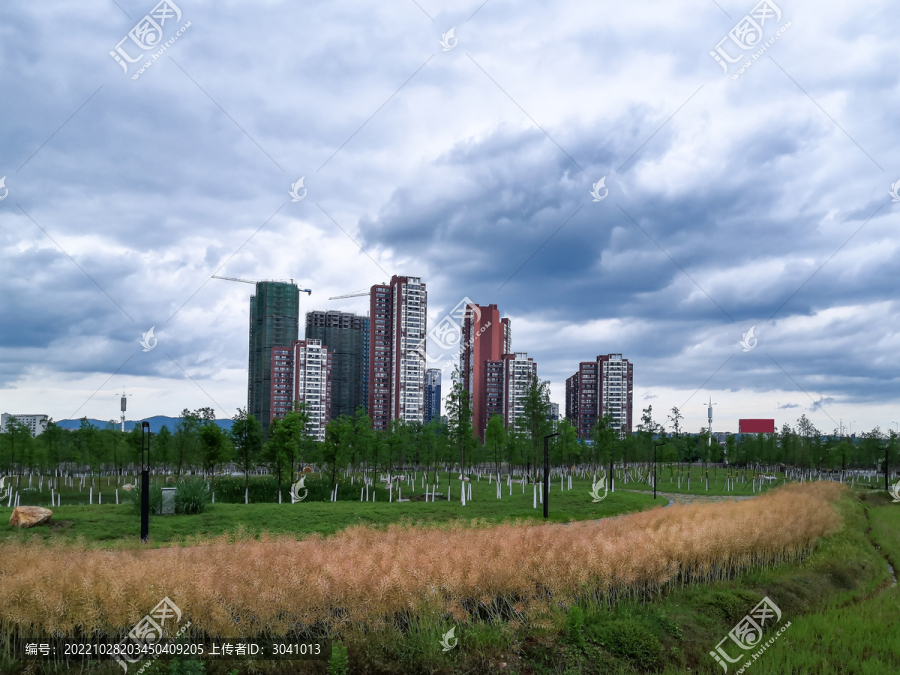 湖北远安县桃花岛湿地生态公园