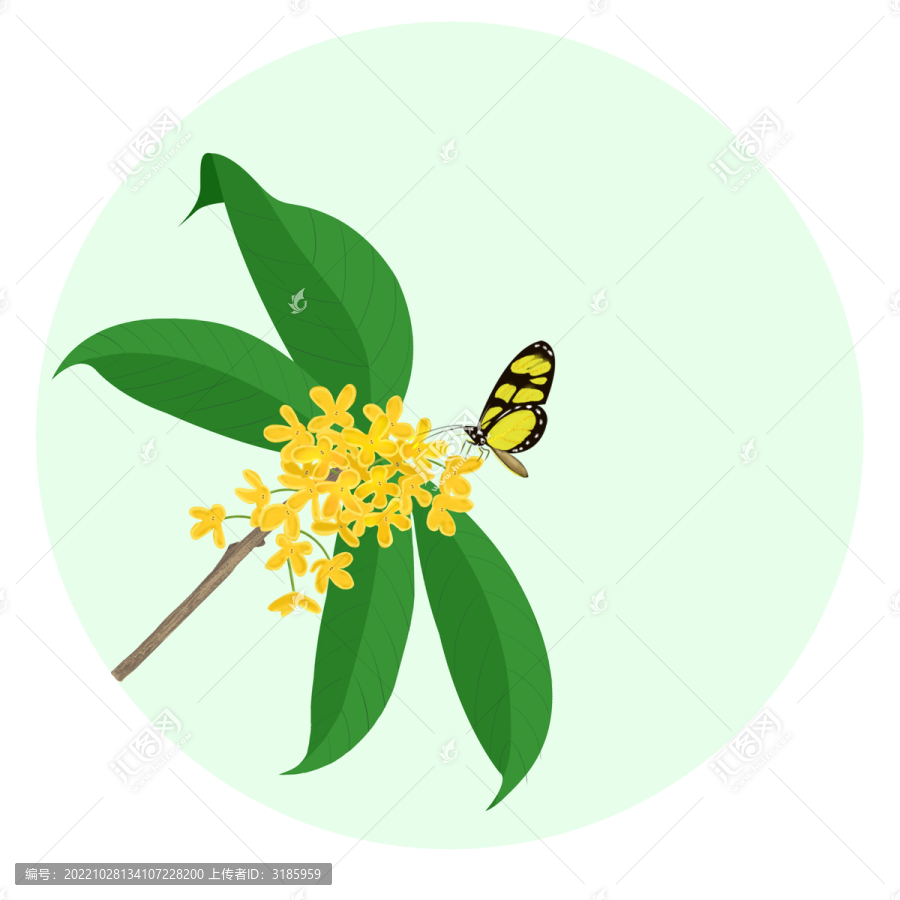 桂花