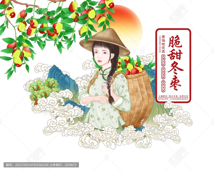 冬棗包裝插畫